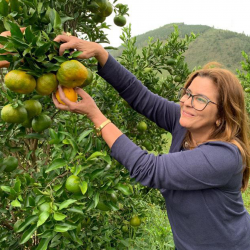 Cativa Natureza - Rose Bezecry - tangerina verde