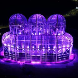 Jardim Botanico Curitiba setembro roxo