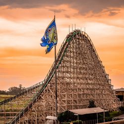 hopi hari