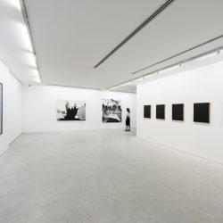 Bienal de Curitiba lança evento on-line com nove meses de programação gratuita