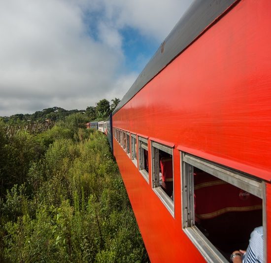 Passeio de trem Curitiba-Morretes têm 50% de desconto em maio