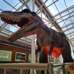 Dinos Towers TRex1