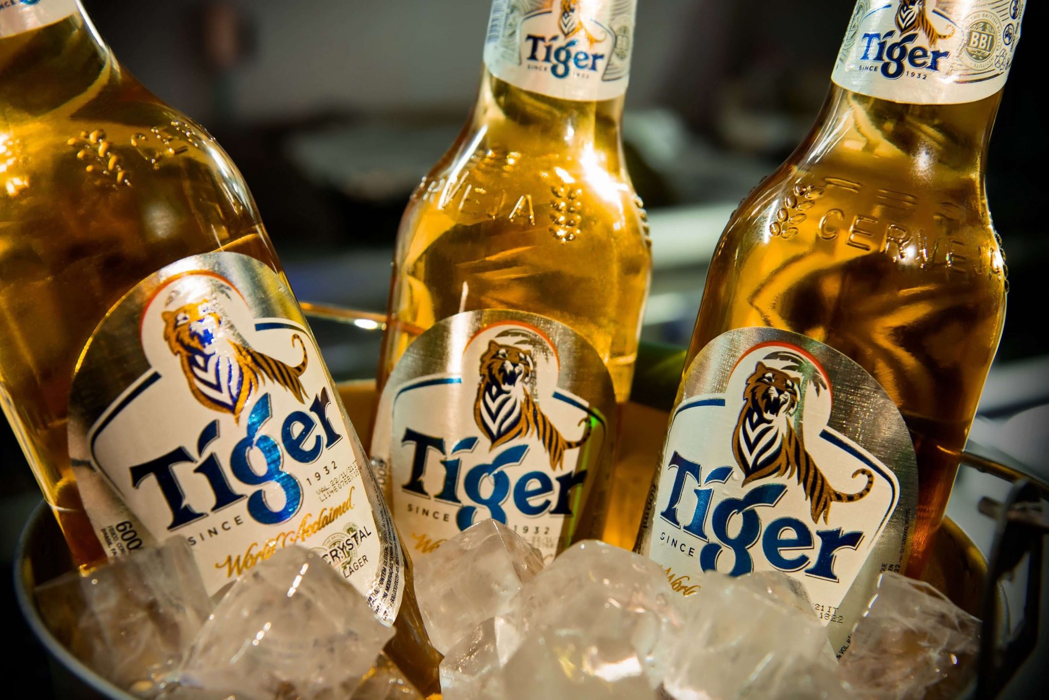 cerveja tiger
