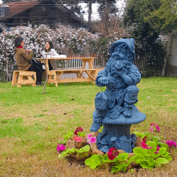 Casa Cura Herbal é espaço para tomar chá em meio a natureza