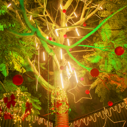 Coca-Cola estreia decoração de Natal “instagramável” em bar curitibano