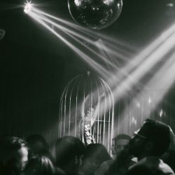 Virada paradisíaca 2 - Paradis Club - Cred Rony Hernandes
