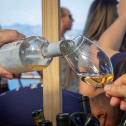 Curitiba recebe edição do Vinho na Vila em agosto