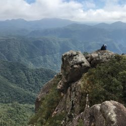 Inverno na Mata Atlantica