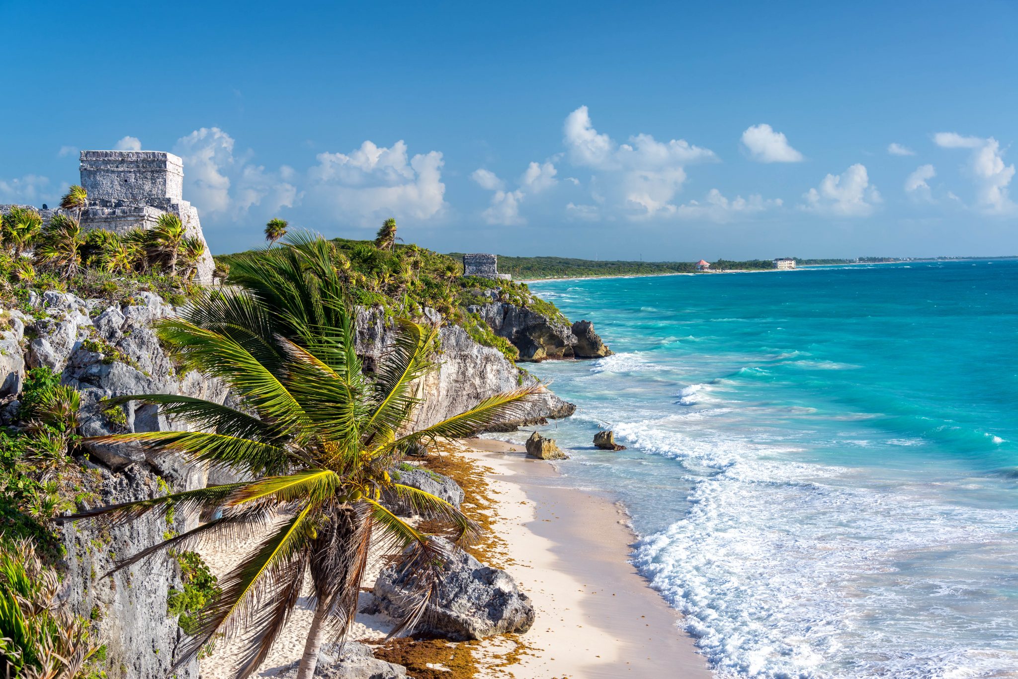 Ruins,Of,Tulum,,Mexico,And,A,Palm,Tree,Overlooking,The