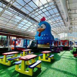 Das telas para o Shopping Estação: Curitiba ganha uma nova atração infantil, o Circuito Galinha Pintadinha