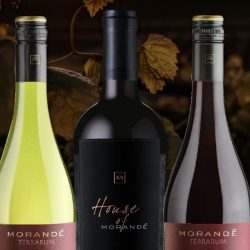 Vinhos jantar harmonizado