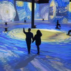 Van Gogh & Impressionistas 3