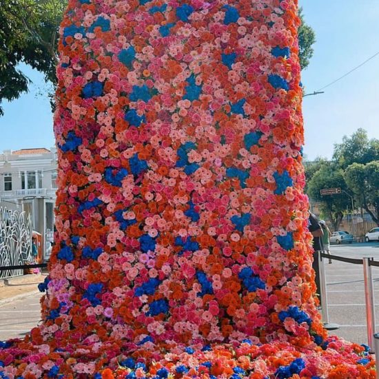 Intervenção com mais de 15 mil flores perfumadas invade shopping de Curitiba