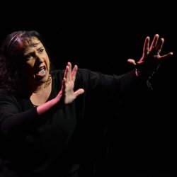 CeliaRibeiro_IliadaHomero_canto8_FotoGilsonCamargoDSC_4235