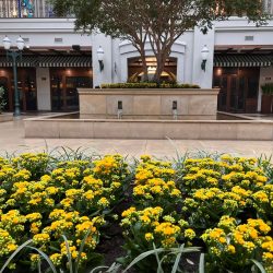 Shopping da capital apoia setembro amarelo com ação simbólica