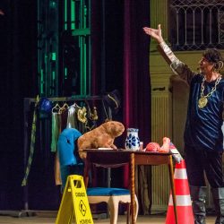 Eduardo Bueno retorna a Curitiba