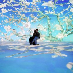 Exposição imersiva Van Gogh e Impressionistas celebra a marca de 100 mil ingressos vendidos em Curitiba