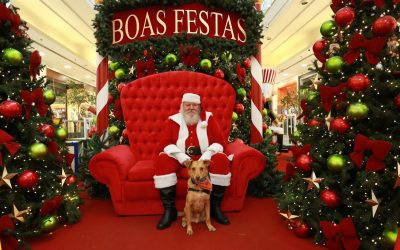 Final de semana tem Natal Pet e histórias infantis no Shopping Curitiba