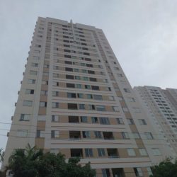 nakakogue leilão londrina