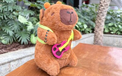 Shopping Estação promove oficina criativa de personalização de capivaras neste fim de semana