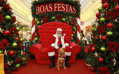 Shopping Curitiba realiza Natal Pet com fotos gratuitas com o Papai Noel