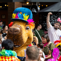 Carnaval Shopping Estação