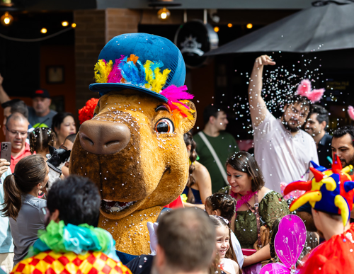Carnaval Shopping Estação