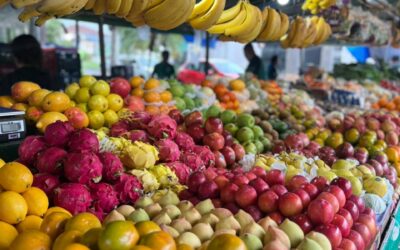 Conheça a história da Banca do Mário, que há 40 anos é tradição nas feiras da cidade