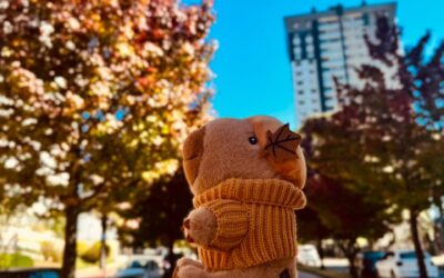 Shopping Estação lança campanha de Dia das Mães com nova pelúcia de capivara, a Capinista Aconchego