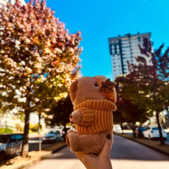 Capi na rua de outono (1)