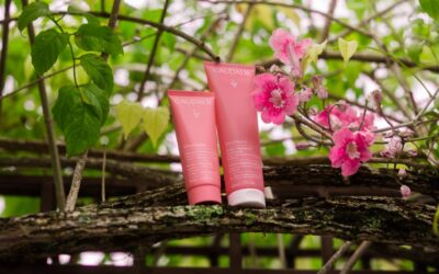 Pátio Batel celebra Dia das Mães com experiência sensorial de SPA em parceria com Caudalie