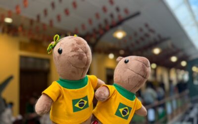 Crianças poderão criar a sua própria capivara vestida com camiseta do Brasil, em oficina no Shopping Estação