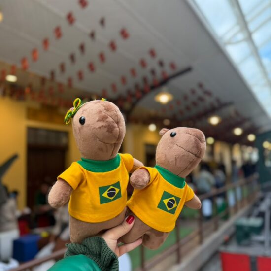 capivara shopping estação