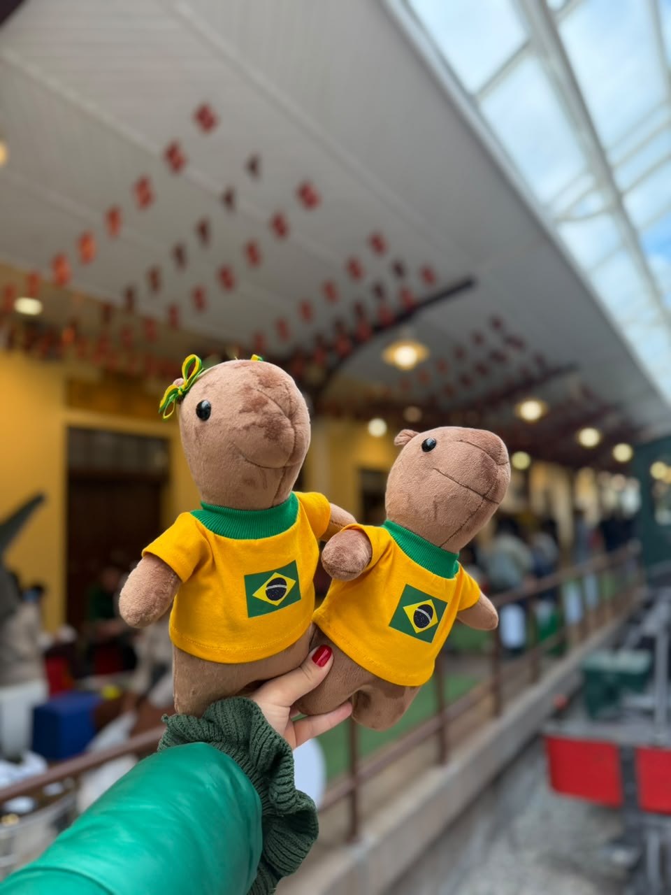 capivara shopping estação