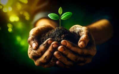 PUCPR promove V Humanidades Sustentáveis com debates sobre educação ambiental, empreendedorismo social e sustentabilidade