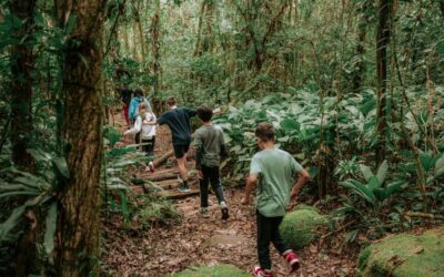 Férias longe das telas: parque no Paraná transforma a Mata Atlântica em um grande laboratório de descobertas para crianças e famílias