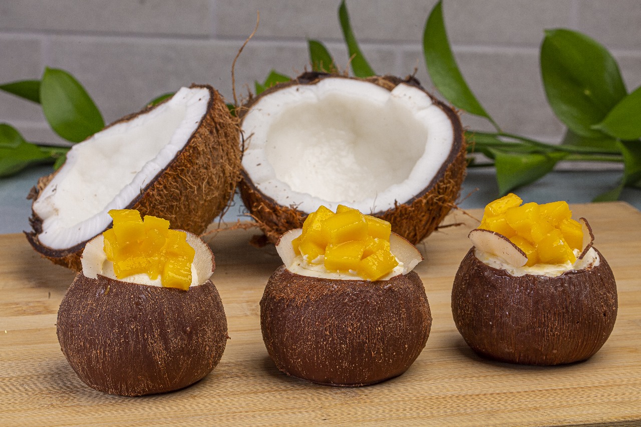coco tropical 1